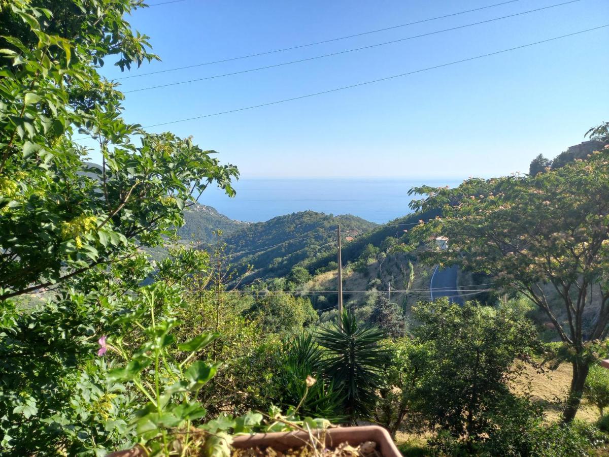 Cinque Terre & Portofino Lodge-Dependance Bracco Монелья Экстерьер фото