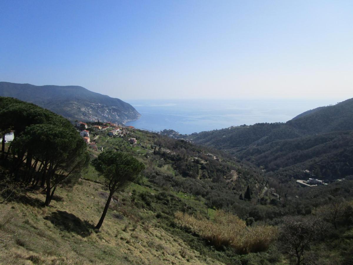 Cinque Terre & Portofino Lodge-Dependance Bracco Монелья Экстерьер фото